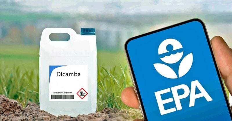 epa logo on phone screen and dicamba on the left
