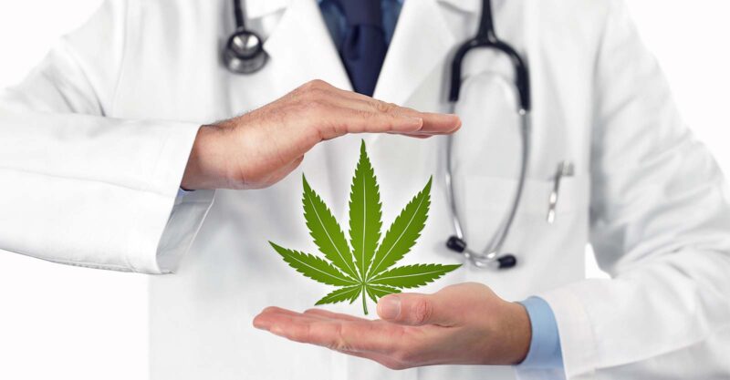doctor and marijuana leaf