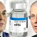 weissman, mrna covid vaccine and fauci