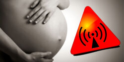 emf radiation pregnancy feature