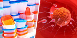 plastic food containers and egg and sperm