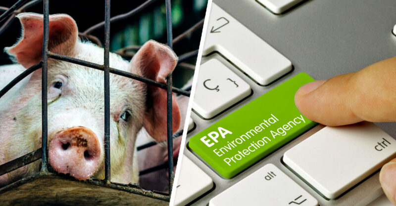 epa air pollution factory farm feature