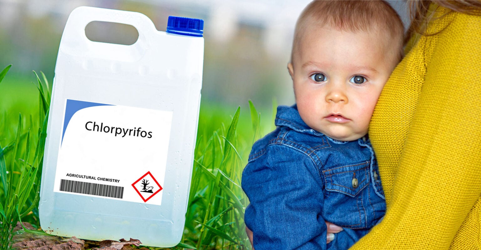 EPA Admits Chlorpyrifos Damages Kids’ Brains, But Efforts to Ban the ...