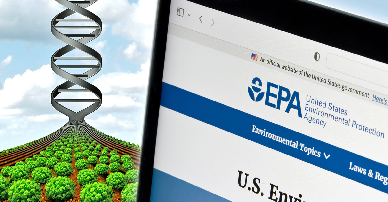 Newsletter - November 7, 2023 | Living Tree Community Foods