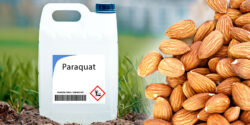 paraquat bottle with almonds