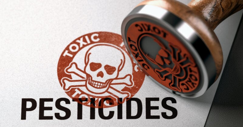 epa pesticide cancer risks inspector general