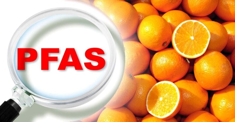 pfas and oranges