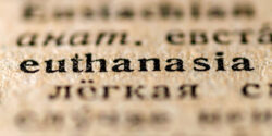 euthanasia kids feature