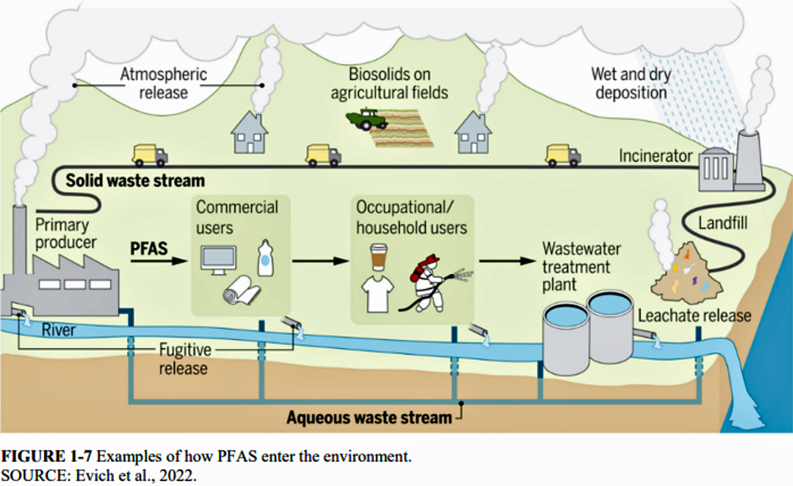 evich pfas environment