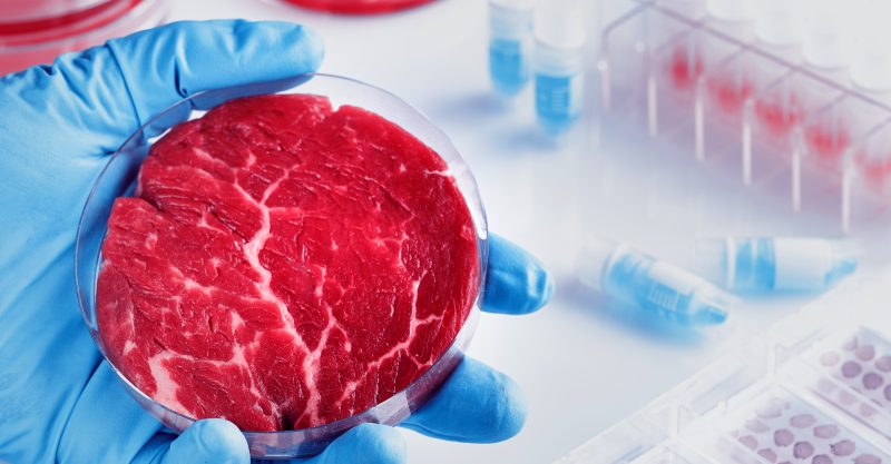 Organic meat is far less likely to be adulterated with multi-drug resistant bacteria than conventional meat.