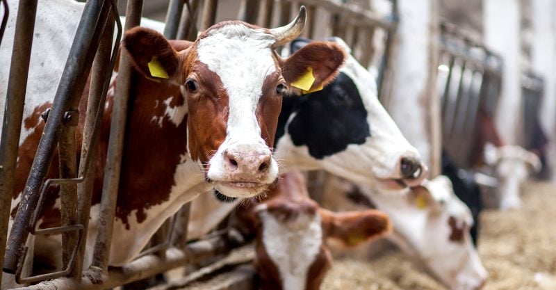 The federal government doesn’t keep tabs on livestock operations nationwide.