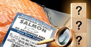 factory farmed salmon and question mark