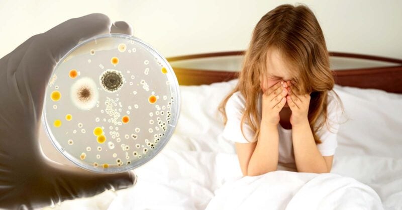 girl sneezing and petri dish of bacteria