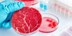 fake meat global food control feature