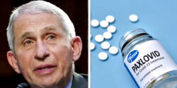 fauci covid pfizer paxlovid taxpayers feature