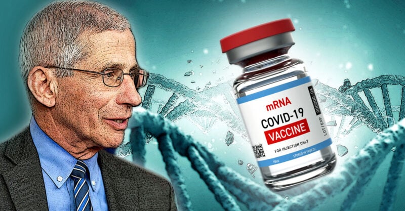 anthony fauci, covid vaccine, dna strand