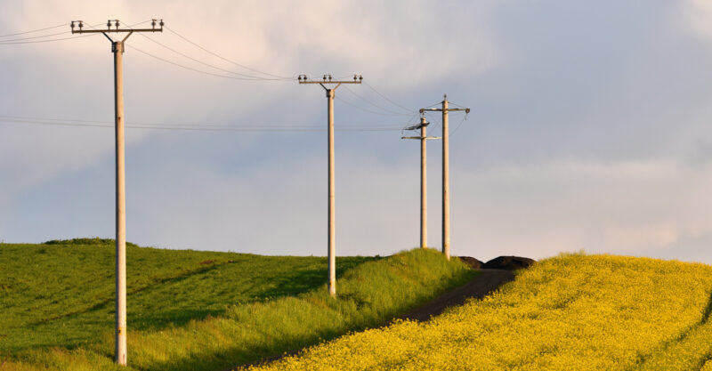 Electricity poles in an agricultural field