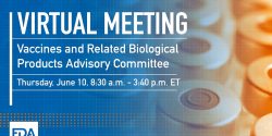 Virtual Meeting