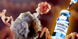 spike protein and covid vaccine