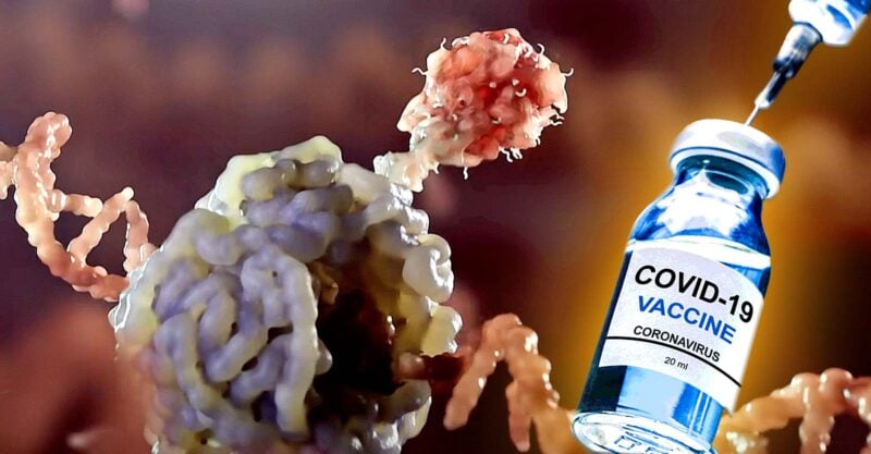 spike protein and covid vaccine