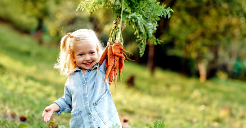 little girl holding bunch of carrots