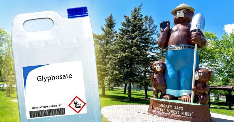 glyphosate bottle and smokey bear statue