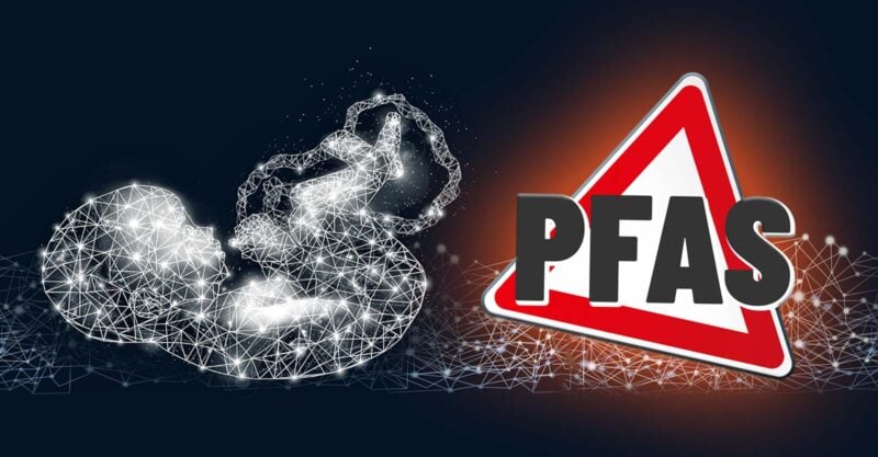 baby in utero with pfas symbol