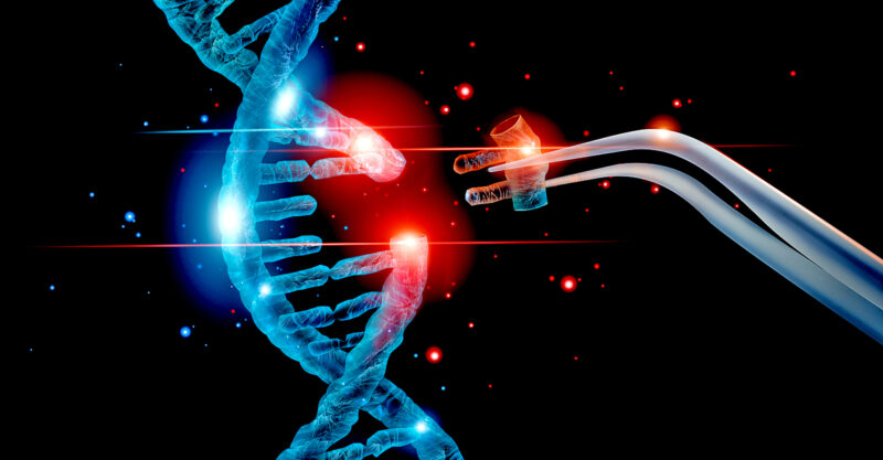 gene edited organisms feature