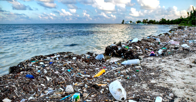 global plastic pollution feature