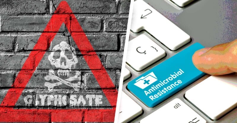 glyphosate warning triangle and words "antimicrobial resistance"