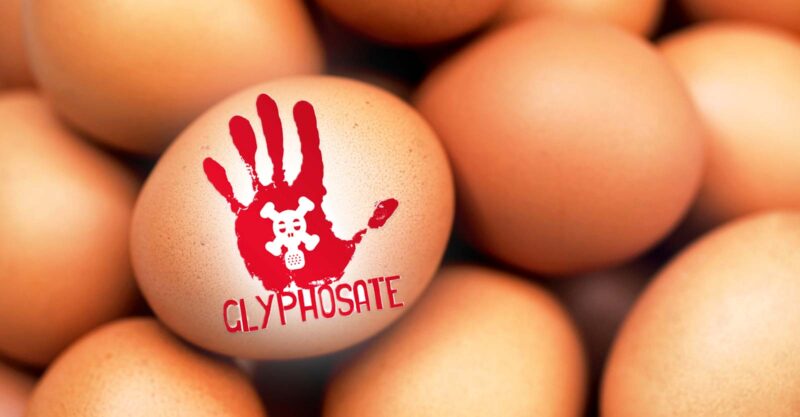 eggs with poison symbol
