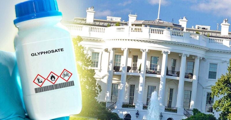 bottle of glyphosate and white house