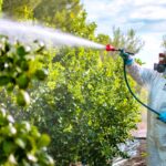 farm worker spraying pesticides