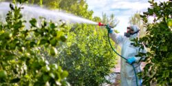 farm worker spraying pesticides