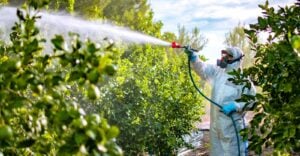 farm worker spraying pesticides
