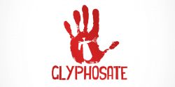 Scientists now link glyphosate to a number of human health problems.