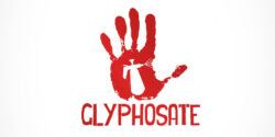 glyphosate weedkiller children health feature
