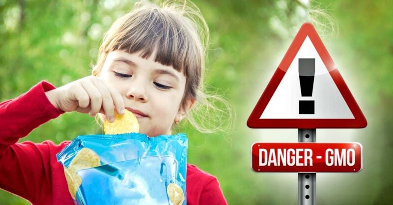 girl eating chips and sign that reads "danger - gmo"