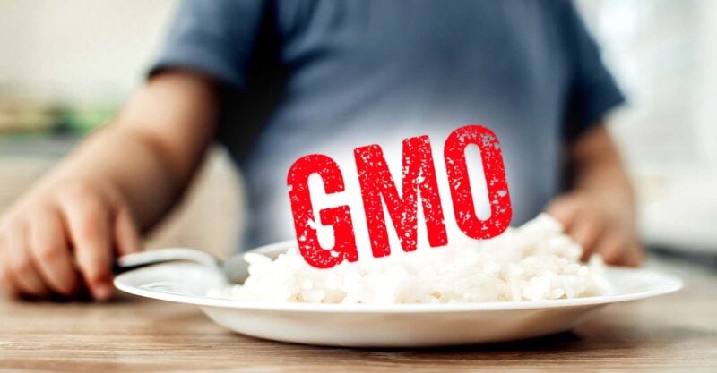 bowl of rice and letters "GMO"