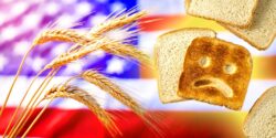 american flag, wheat and a sad face in a piece of bread