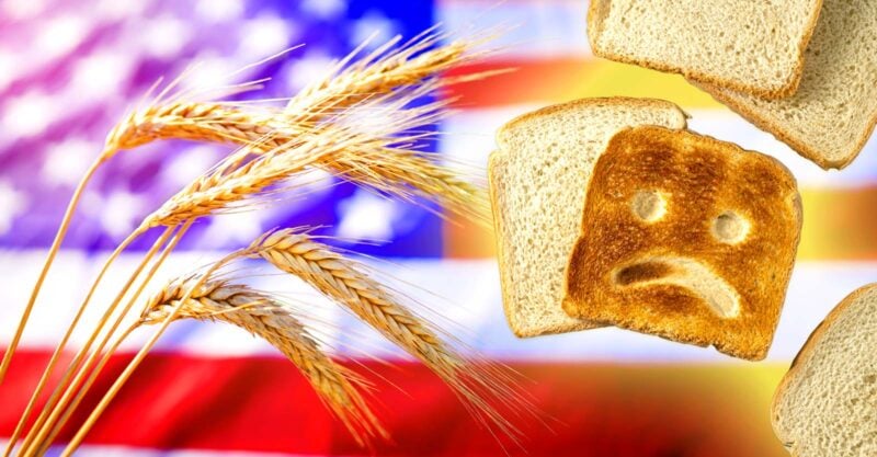 american flag, wheat and a sad face in a piece of bread