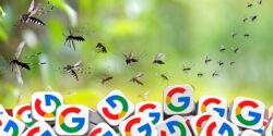 mosquitoes and google logo