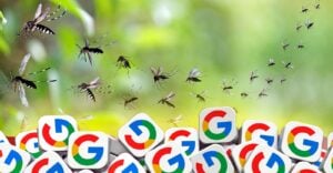 mosquitoes and google logo
