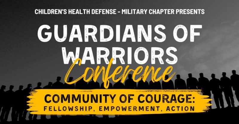 guardians of warriors conference poster