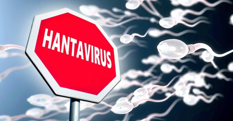 hantavirus sign and sperm