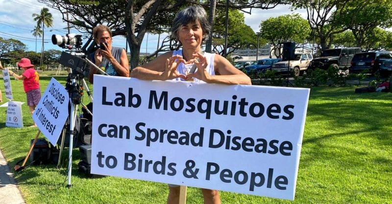 rally about lab mosquitoes