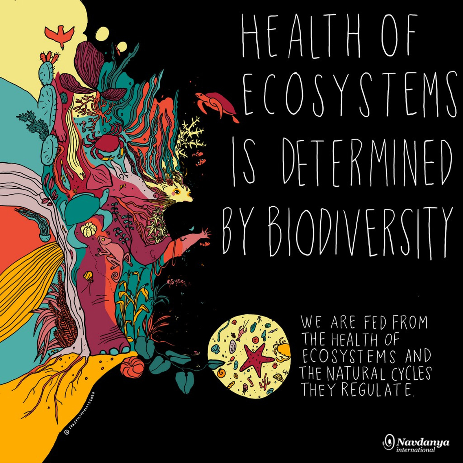 health of ecosystems is determined by biodiversity