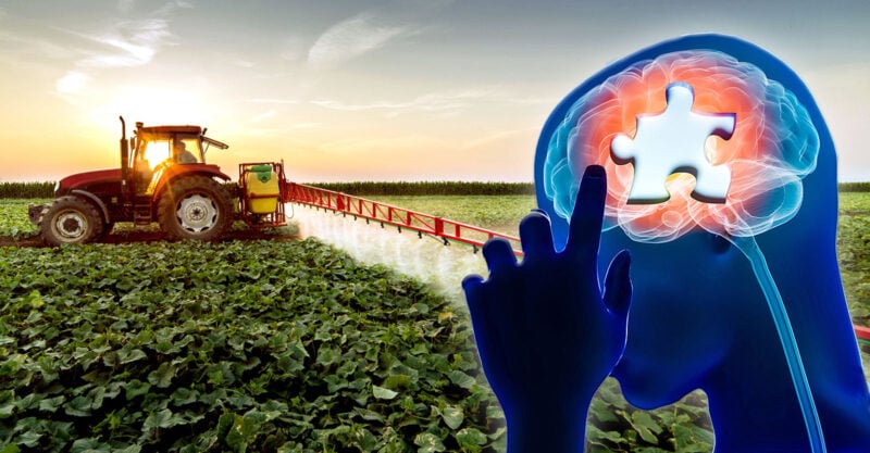 herbicides brain function kids feature