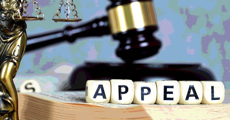 gavel and word "appeal"