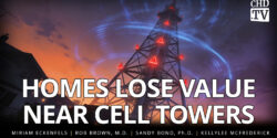 CHDTV: Homes Lose Value Near Cell Towers - graphic of cell tower near homes.